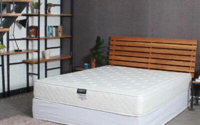 Đánh giá chi tiết Nệm Edena Premium
